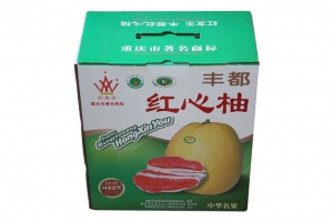身邊常常出現塑料袋承重不行問題，你有真正了解過嗎